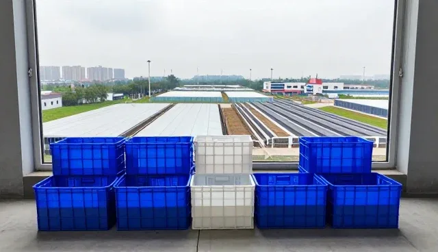 塑料周转箱规格定制中的常见问题与解决思路